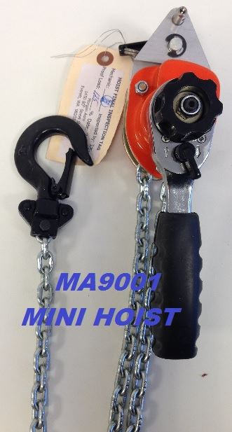 Mini Hoist